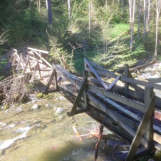 Momentaner Zustand des Stegs