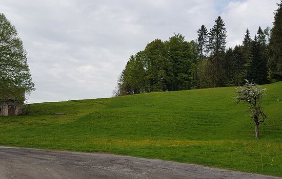 Nachdem eine Einsprache behoben und der Quartierplan «alte Linde» in angepasster Form erneut öffentlich auflag, ohne dass Einsprachen eingingen, kann er von der Standeskommission verabschiedet werden.
